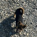 양마니명동찌개마을 이미지