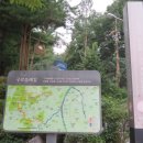매봉산ㆍ지양산 힐링 산책길 - 매봉산 쉼이 있는 녹음길 이미지