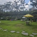 지리산하늘과바람과별과개 이미지