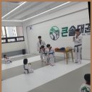 큰솔 태권도 이미지