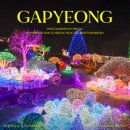 별빛풍경 | 가평 별빛정원우주 솔직후기 밤풍경✨