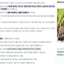스텔링플라워