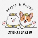피플앤 퍼피 이미지