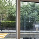 웨이프(WAYP) 이미지