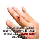 고고점핑 이미지