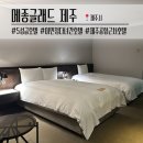 메종글래드 제주 | 공항 근처 5성급 가성비 호텔, 프리미엄 트윈룸 후기 &amp; 셔틀·수영장·주차 총정리