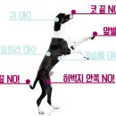 애완강아지 이미지