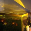 어진이네민박 이미지