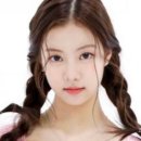 비선동 산삼 이미지