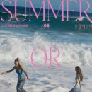 다솜컴퍼니 이미지