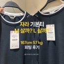 Double L | 자라 반팔 M사이즈 고른 이유 (vs L 비교)와 2달 입어본 후기, 얼만큼 늘어날까? 보풀 정도는? 자라...