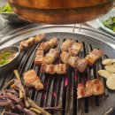 제주돈 도야지 이미지