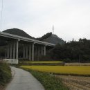안산동(시경계) Daum카페