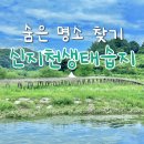 신지천 이미지