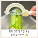 미음디자인 | 초기 이유식 준비물, 다이소템만으로 애호박 미음 만들어봤어요! (실사용 후기)