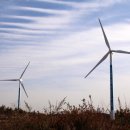 경인아라뱃길아라인천여객터미널 이미지