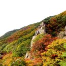 소요산 Daum카페