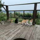 청강유통 이미지