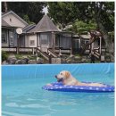 조이원펜션 이미지