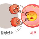 리벌스 이미지