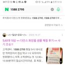 주식회사 다인스