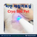 리엔동물의료센터 이미지