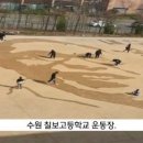 칠보고등학교 Daum카페