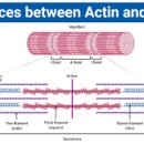 트리짐 트리태닝 이미지