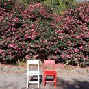 씨유제주곽지교차로점 | 🚗 제주도렌트카 운전 초보자를 위한 제주 감성 코스 TOP 5 🌿