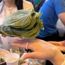 [서울 방이동 맛집] 서울 사는 친구의 6년째 찐찐 단골맛집 &lt;독도쭈꾸미&gt; 내돈내산 후기