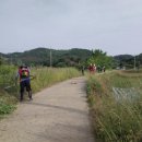 수당리 이미지