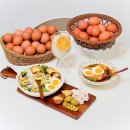 맥반석계란 보관 방법 촉촉하고 맛있는 땡큐파머스 구운계란 반숙란