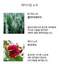 아로브 이미지