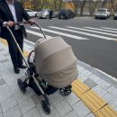 (주)실버쉴드 | 실버크로스 리프 내돈내산 후기(베이비하우스 광주점/신생아 유모차 조카선물 추천)