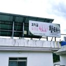 아라곰장어 이미지