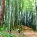 뉴스카이렌트카 이미지