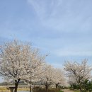 영강체육공원길 이미지