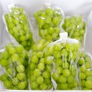 부자농장2 이미지