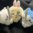 교정 일기 1