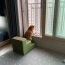 사색 이미지