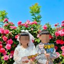 보령 공립 행복 어린이집 이미지