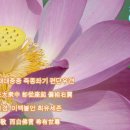 금강경 강의 제10회/금강경 상식풀이** 제2분 선현기청분(1) 이미지