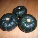 한마음농장 이미지