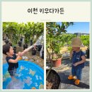 농부청과 | 블루베리 체험 이천 키우다가든 농부 체험 37개월 후기