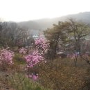 산마을관광농원 네이버블로그
