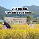 지석농장 이미지