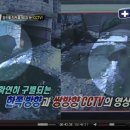 온씨씨티비 이미지