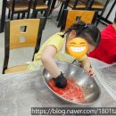 금까내 농어촌체험휴양마을 | 농촌체험마을-금산 조팝꽃피는마을