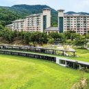 오크밸리 드라이빙레인지 이미지