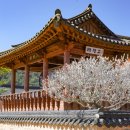 남사-7 이미지